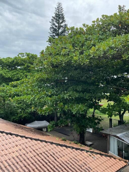 Floripa Jurere, Pe Na Areia! Apto 6 Apartamento